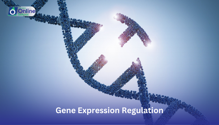 Lesson 18: Importance of Gene Expression Regulation